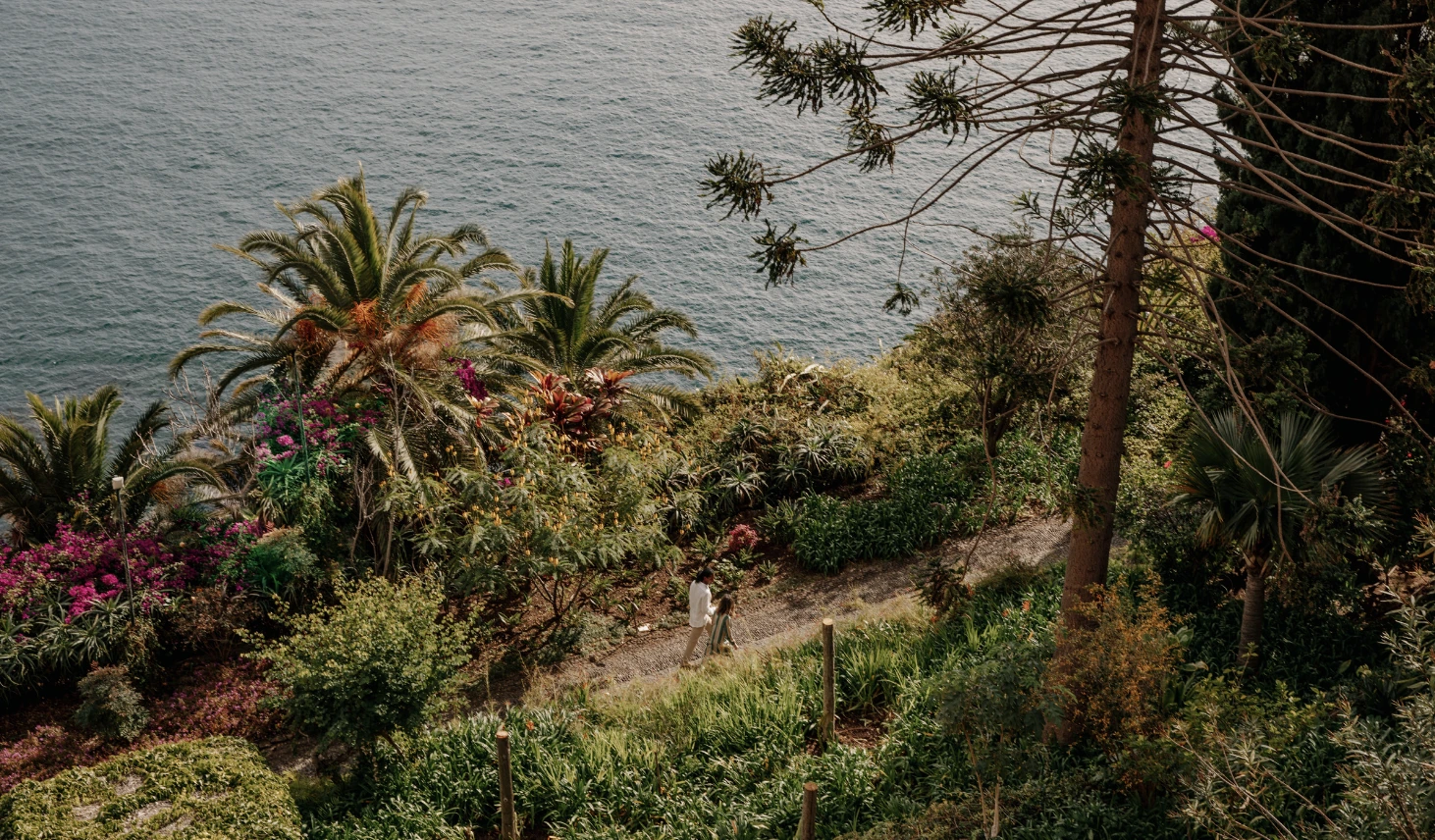 Subtropical terraced gardens at Reid's Palace above the Atlantic, Madeira