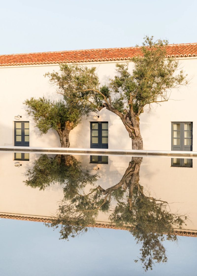 Winery Room at São Lourenço do Barrocal, Alentejo