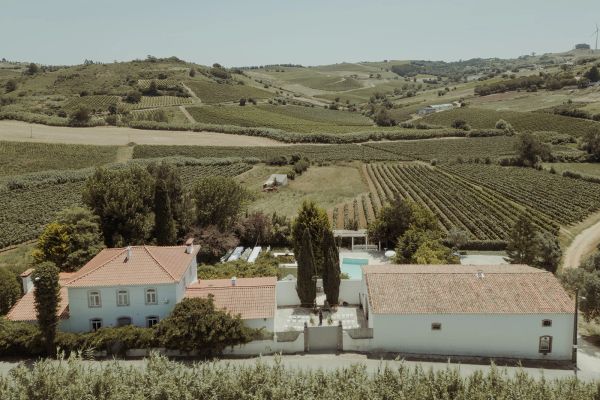 The garden, mid-afternoon at Casa Sacoto near Lisbon