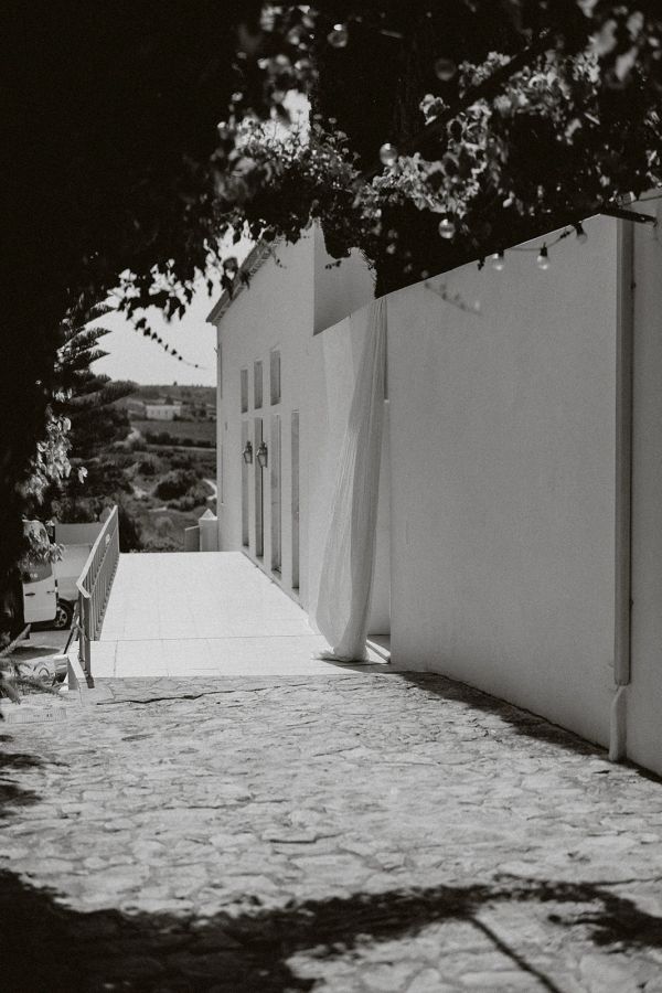 Ivy on the south wall at Casa Sacoto near Lisbon