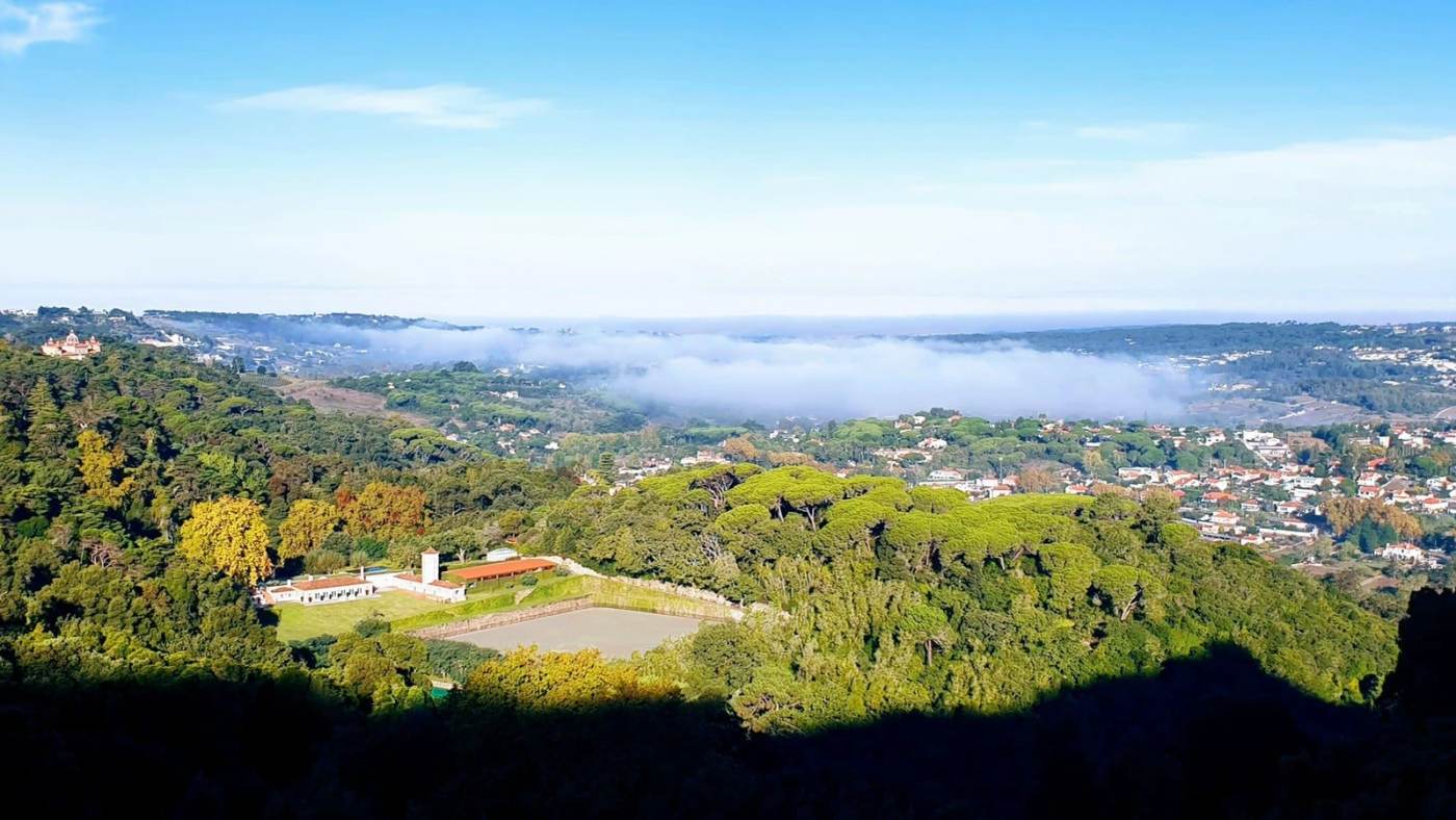 The Quinta da Bella Vista estate above the old Sintra palace road