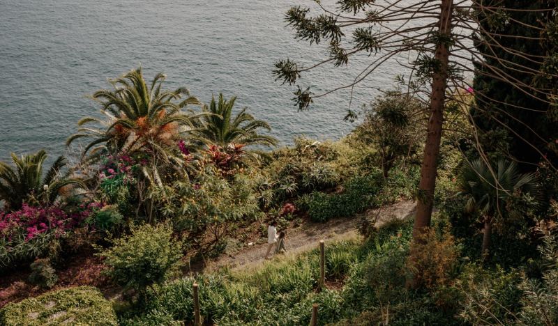 Subtropical clifftop gardens above the Atlantic at Funchal, Madeira