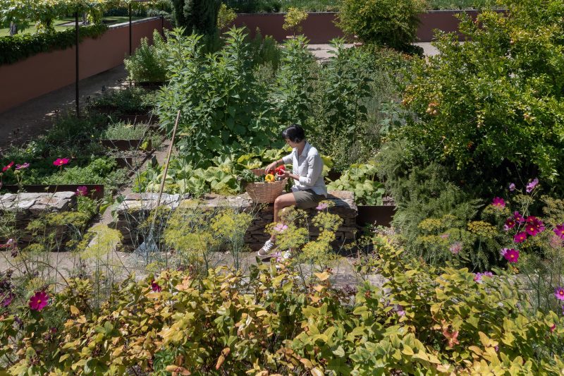 Organic Garden at Six Senses Douro Valley, UNESCO Douro